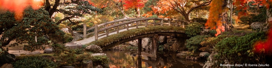 Тур в Японию. Осенние клены Момидзи